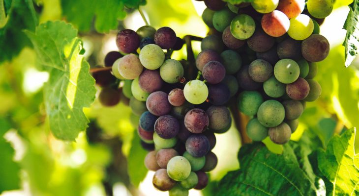 God’s Strategy for Multiplication