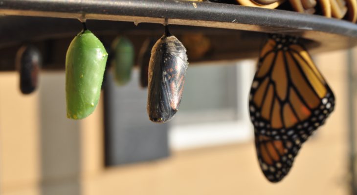 Two Types of Transition
