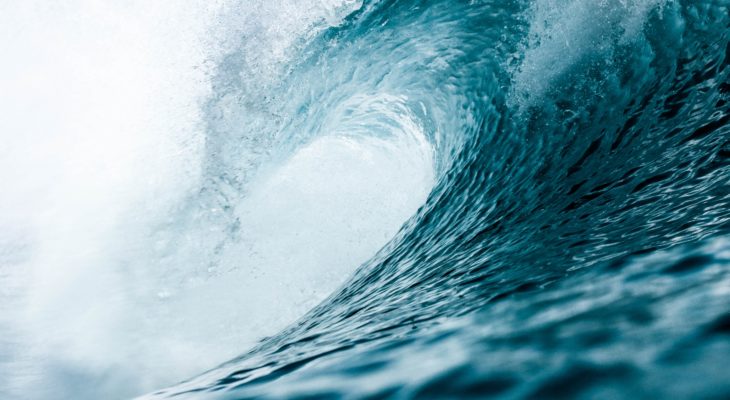 Ride the Wave