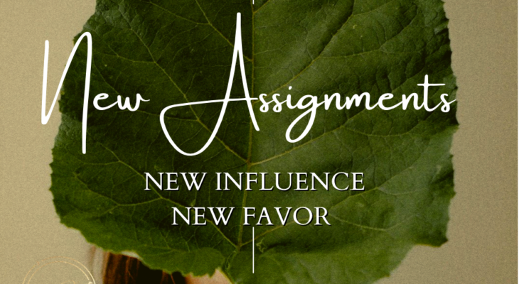 Weighty Assignments – Replay