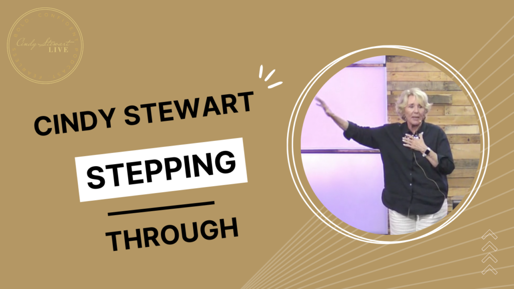 Cindy Stewart Video