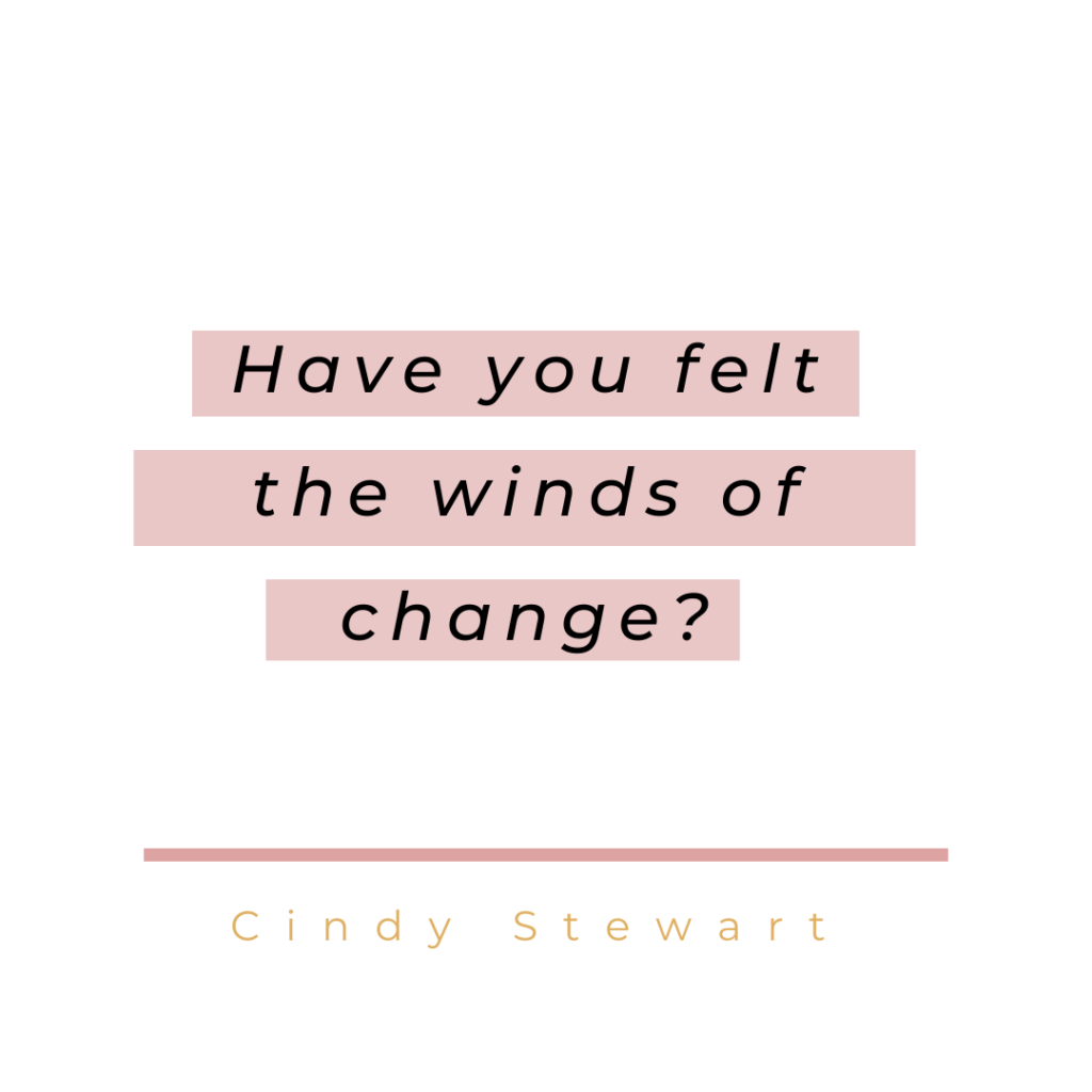Cindy Stewart Podcast