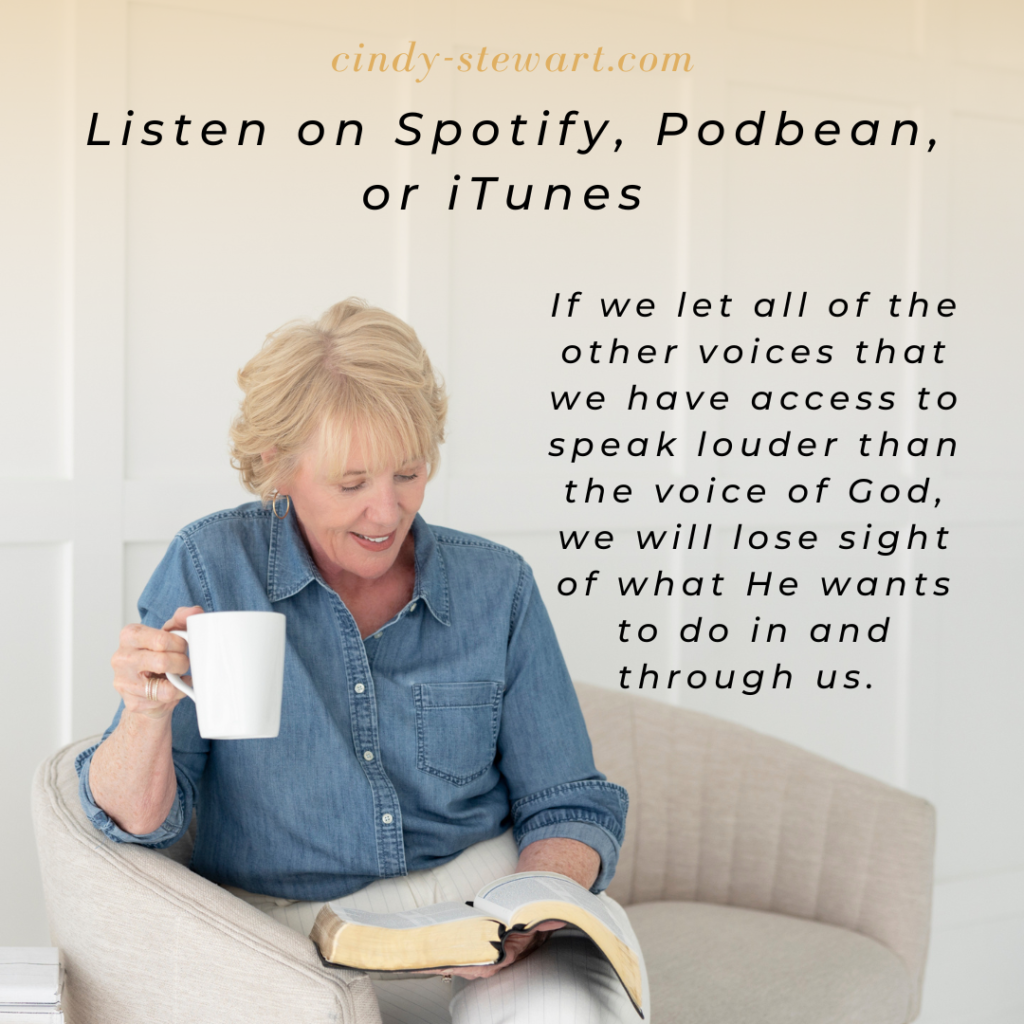Cindy Stewart Podcast