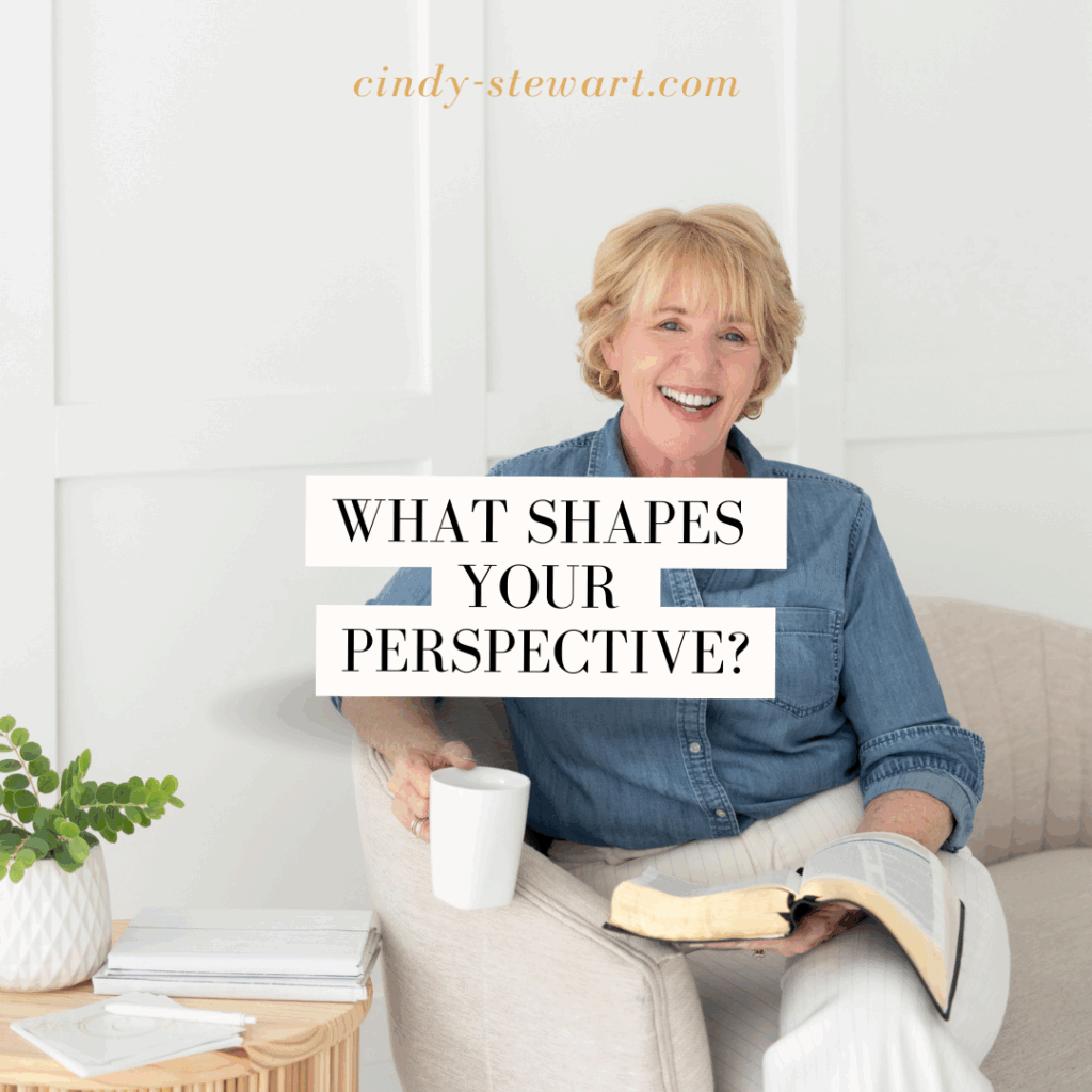 What shapes your perspective?