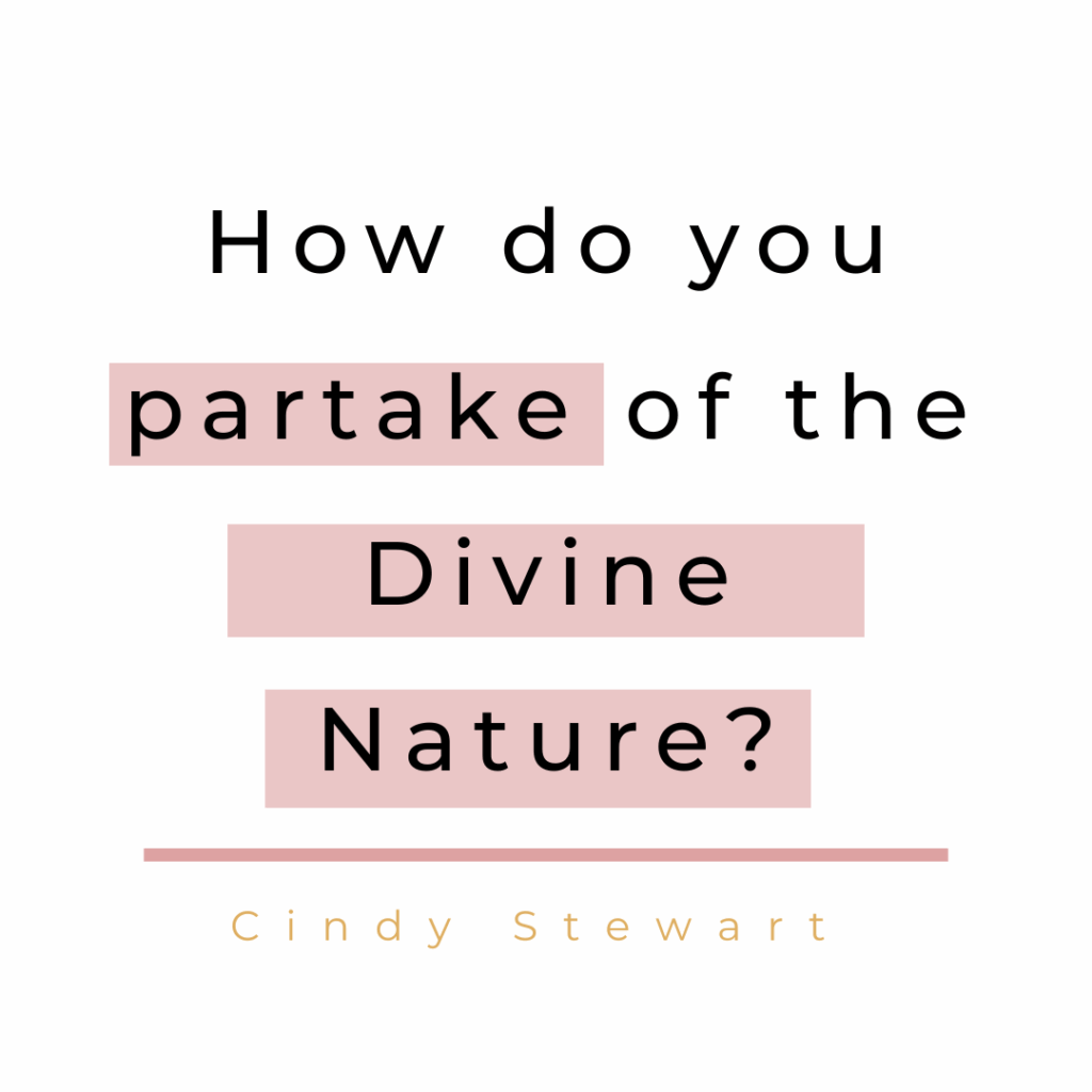 How do you partake of the Divine Nature?